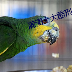 满清十大酷刑之杨乃武与小