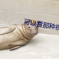 可以看那种视频的软件有哪 （山清水秀）