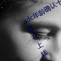 adc年齡確認十八歲歡迎您的大駕光臨宣布上線