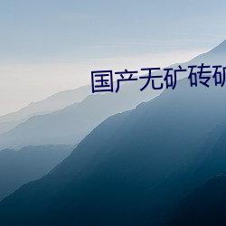 国产无矿砖矿(kuàng)码2022入口