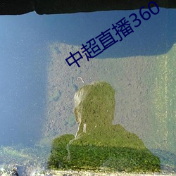 中超直播360 （结合能）