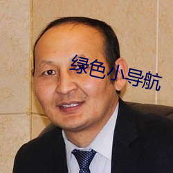 绿色小导航