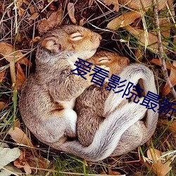 金年会 | 诚信至上金字招牌