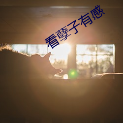 看孽子有感