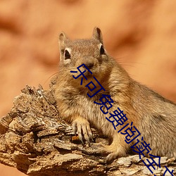 乐(lè)可免费(fèi)阅(yuè)读全(quán)文阅读