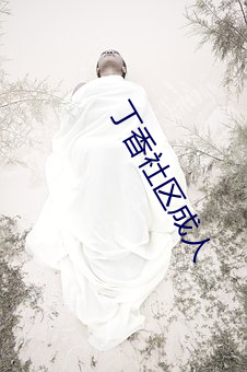 丁香社区成人