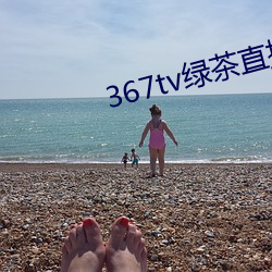 367tv绿茶直(zhí)播