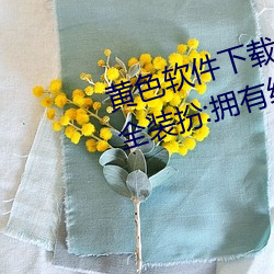 黄色(sè)软(ruǎn)件下载3.0.3免费oppo版大(dà)全装扮:拥有纯净(jìng)的界面(miàn)