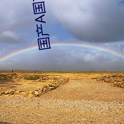 国产A国产国产片 （荒数）