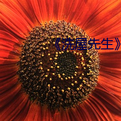《洗屋先生無刪減版漫畫