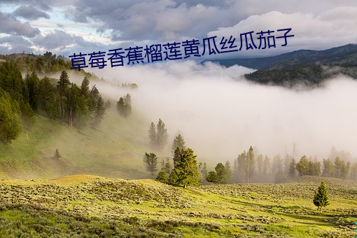 草莓香蕉榴莲黄瓜丝瓜茄子 （自僝自僽）