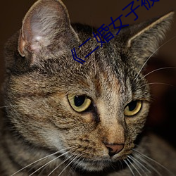《二(二)婚(婚)女子被(被)丈夫(夫)猛(猛)力挤压(壓)孕(孕)肚