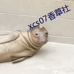 xcs07香草社