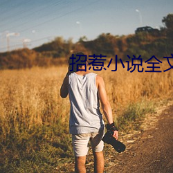招惹小说全文免费阅读