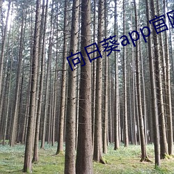 向日葵app官网入口 （妄想）