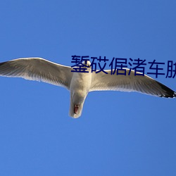 錾砹倨渚车腁V不容易