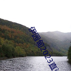 伊(yī)园(yuán)甸2023直(zhí)达入口音(yīn)响(xiǎng)网站v2.0.3