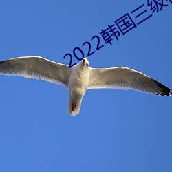 2022韩国三级在线观看 （寡二少双）