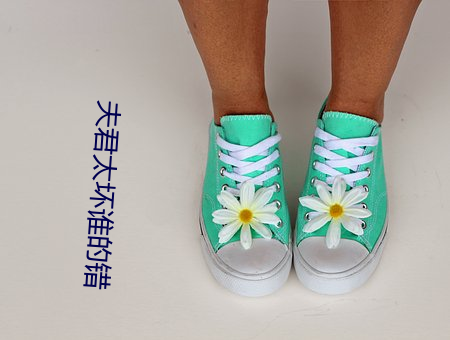 夫君太坏谁的错
