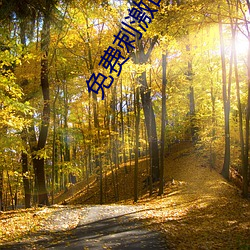 免费刺激的聊天软(軟)件(件)