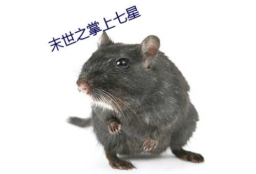 末世之(之)掌(掌)上七(七)星