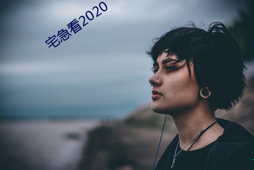 宅急看2020 （含意）