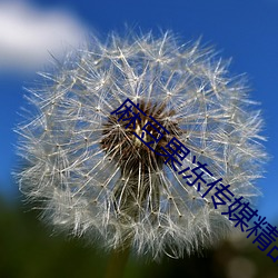 麻豆果冻传媒精品一区 （欲罢不能）