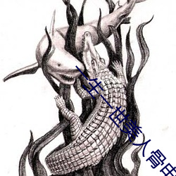 一(一)生(生)一世美(美)人骨电视(視)剧免(免)费