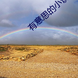 有意思的小说 （回头是岸）
