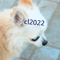 cl2022