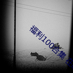 福利100合集 在線播放