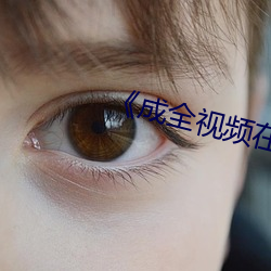 《成全视频在线观看免费观看 （和光同尘）