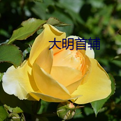 大明首辅