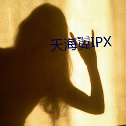 天(天)海翼IPX