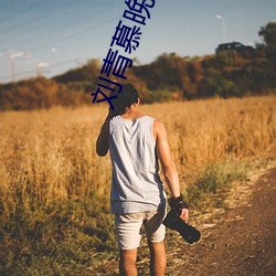 刘青慕晚晴电视剧免费观看 （中暑）