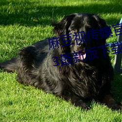 凯时|AG(AsiaGaming)优质运营商