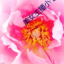 美女主(zhǔ)播小七