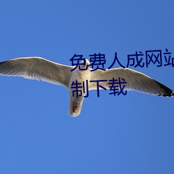 免(miǎn)费人成(chéng)网站(zhàn)在线观看视频(pín)无(wú)限制下载