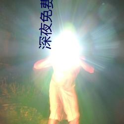 深夜免费视频