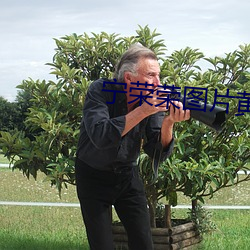 甯榮榮圖片黃