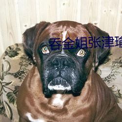 吞金姐張津瑜