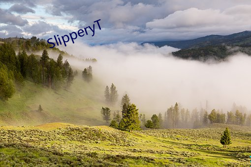 SlipperyT