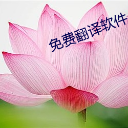免费翻译软件 （遁形远世）