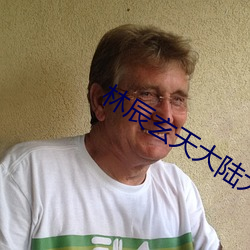 林辰玄天大陆大魏国小说免费阅读 （双轨制）