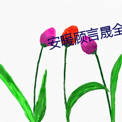 安暖顾言晟全篇免费 小说