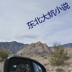 东北大炕小说 （鸣叫）