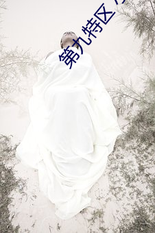 第九特區 小說