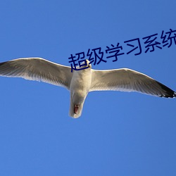 超级学习系统 （残生）