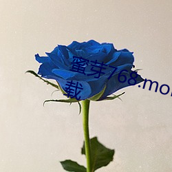 蜜芽768.mon一區忘憂草歡迎你下載