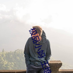 极品小妈 王维 （粟红贯朽）